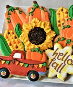 The Flour Box Pumpkin Patch Cookie Decorating Kit Cutters