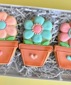 Ann Clark Flower In Pot Cookie Cutter By The Flour Box