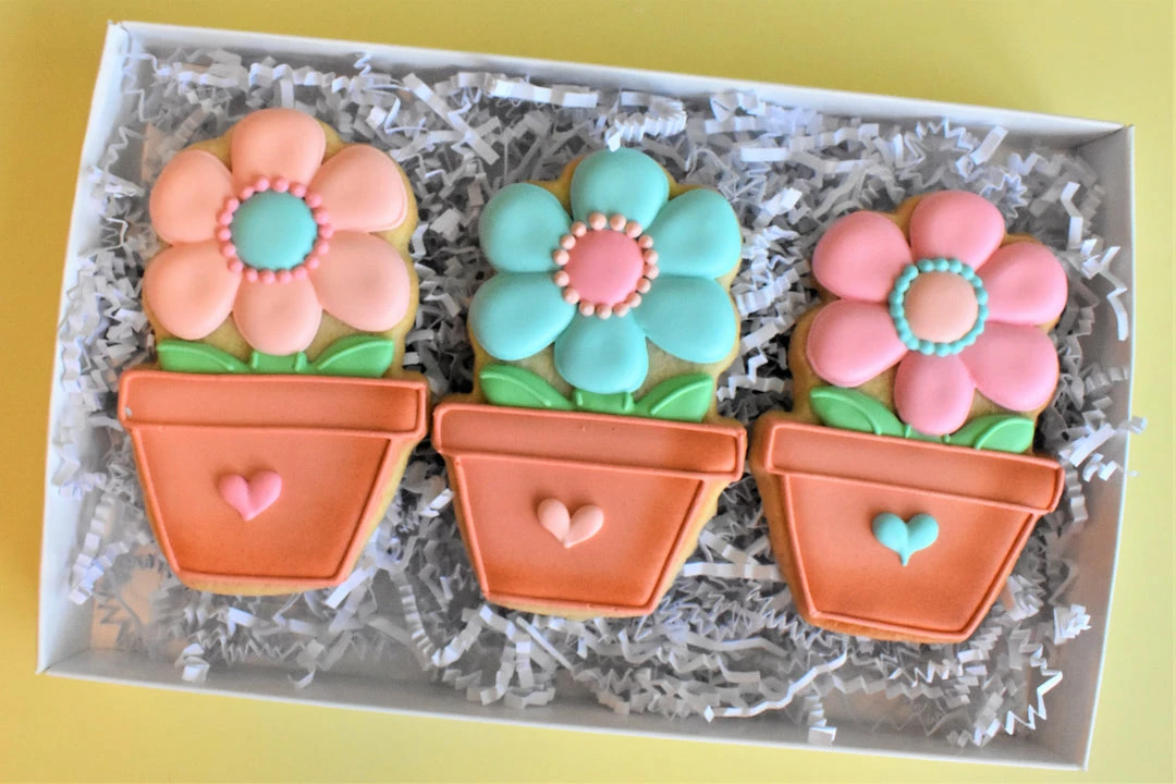 Ann Clark Flower In Pot Cookie Cutter By The Flour Box 4 Ann Clark Flower In Pot Cookie Cutter By The Flour Box