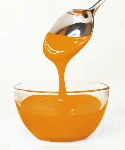 Supplies Pumpkin The Sugar Art Master Elite