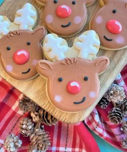 The Flour Box Christmas Faces Cookie Decorating Kit Cutters