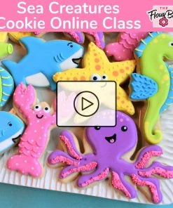 The Flour Box Sea Creatures Online Decorating Class Recording With Optional Kit