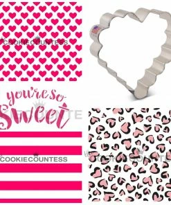 The Flour Box Airbrushing 101 Valentine Online Decorating Class Recording With Optional Kit Classes