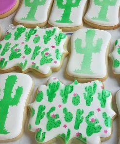 Killer Zebras Cactus Garden 3pc KZ Stencil Stencils