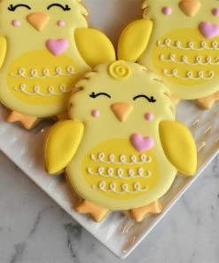 Flour Box Bakery Springtime Cookie Decorating Kit For Online Class