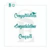 Stencil Expression Congratulations 3-in-1 SE Stencil Stencils