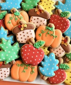 Ann Clark Pumpkin New MINI Cookie Cutter Cutters