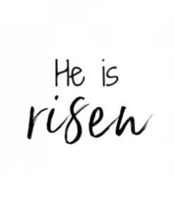 Ann Clark Cross Fancy Cookie Cutter By The Flour Box