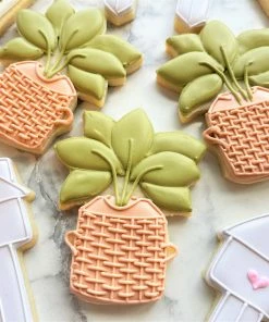 Flour Box Bakery Cutters House Plant Cookie Cutter