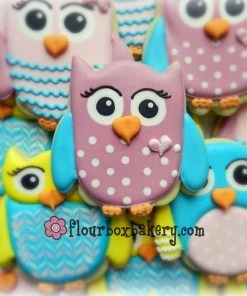 Ann Clark Cute Owl Cookie Cutter Cutters