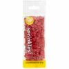 Wilton Red Watermelons SMALL Sprinkle Pouch Supplies